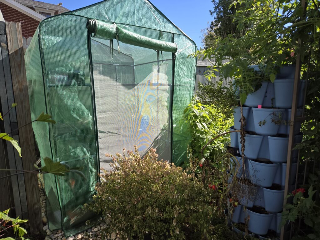 Pictured in this photo are 2 items that I purchased to upgrade garden supplies. A greenhouse to help harden off seedlings and a Greenstalk to provide vertical growing space.